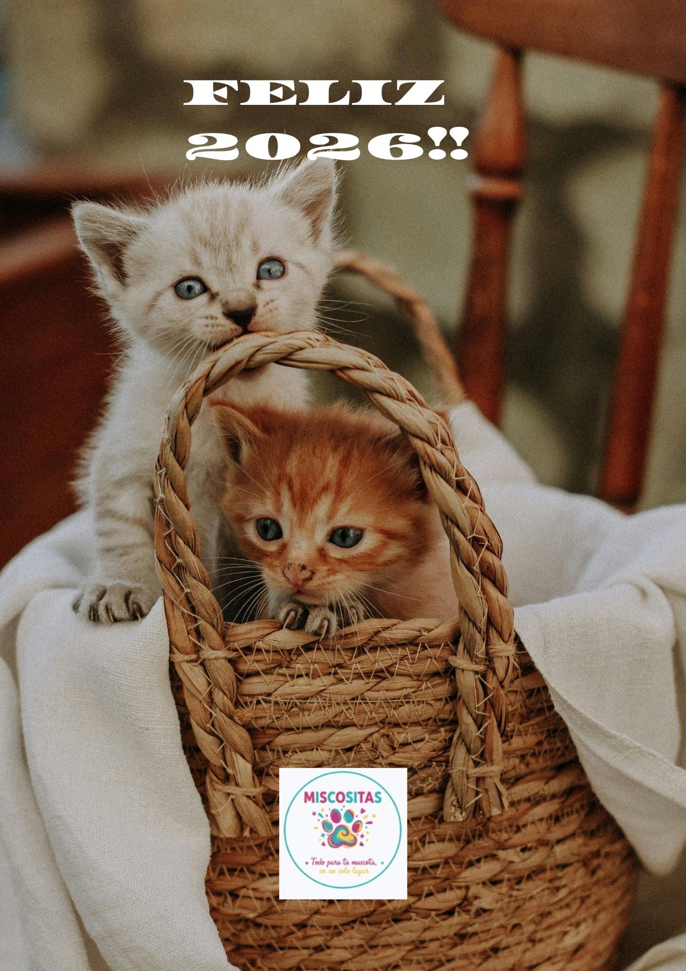 Calendario 2026 Gatos - Planificador Digital PDF