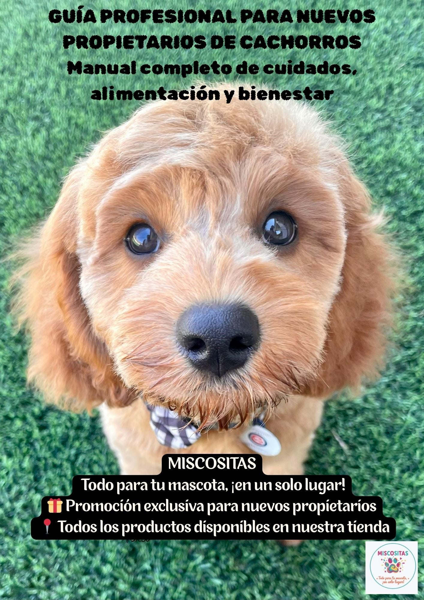 Kit Cachorro Básico – Todo lo Esencial para sus Primeros Meses