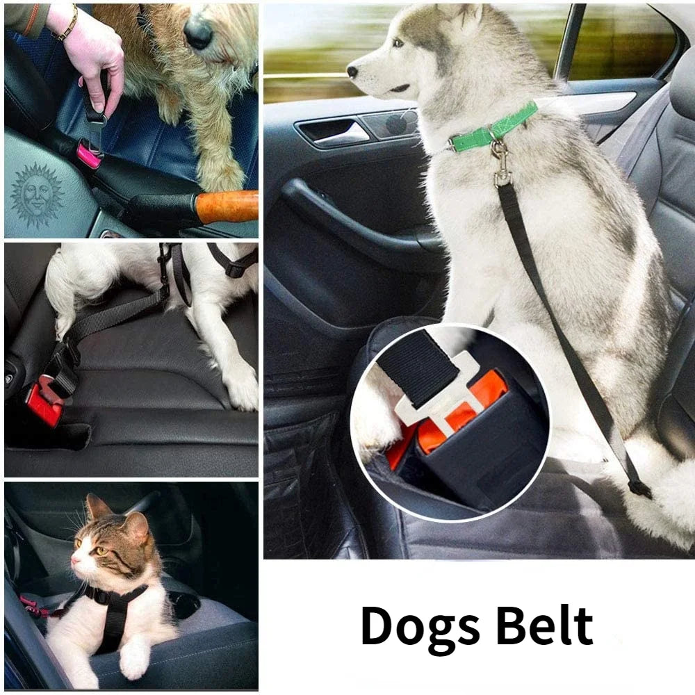 Pet Car Seat Belt