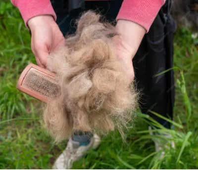 Kit Antimuda Premium