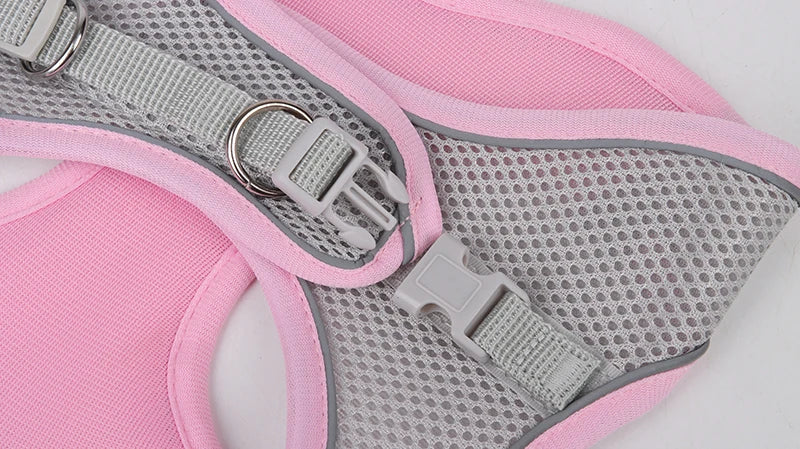 Set Arnés Correa Ajustable Perros Pequeños Gatos