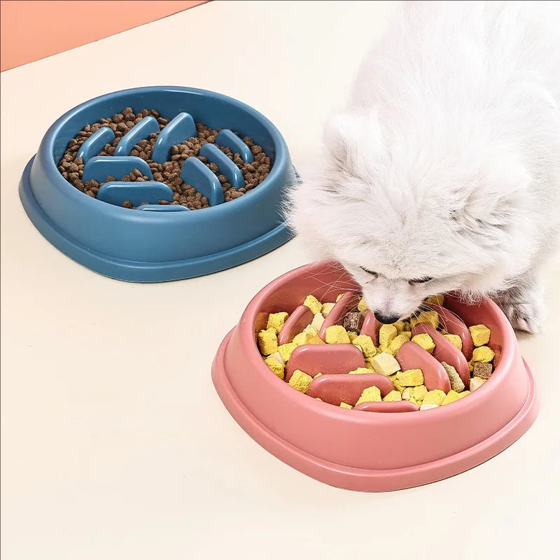 Distributeur de croquettes anti-glouton pour chiens et chats - Antidérapant