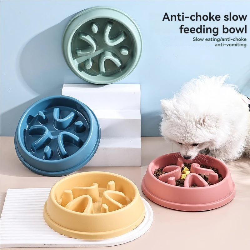 Distributeur de croquettes anti-glouton pour chiens et chats - Antidérapant