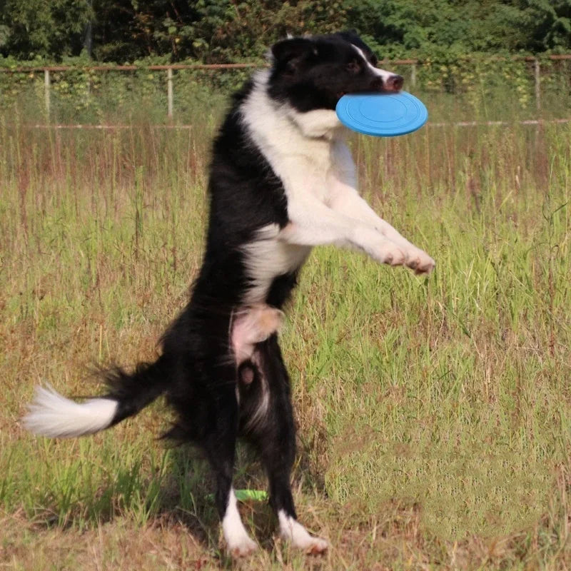 Silicone Flying Toy for Dogs - Durable Interactive Disc