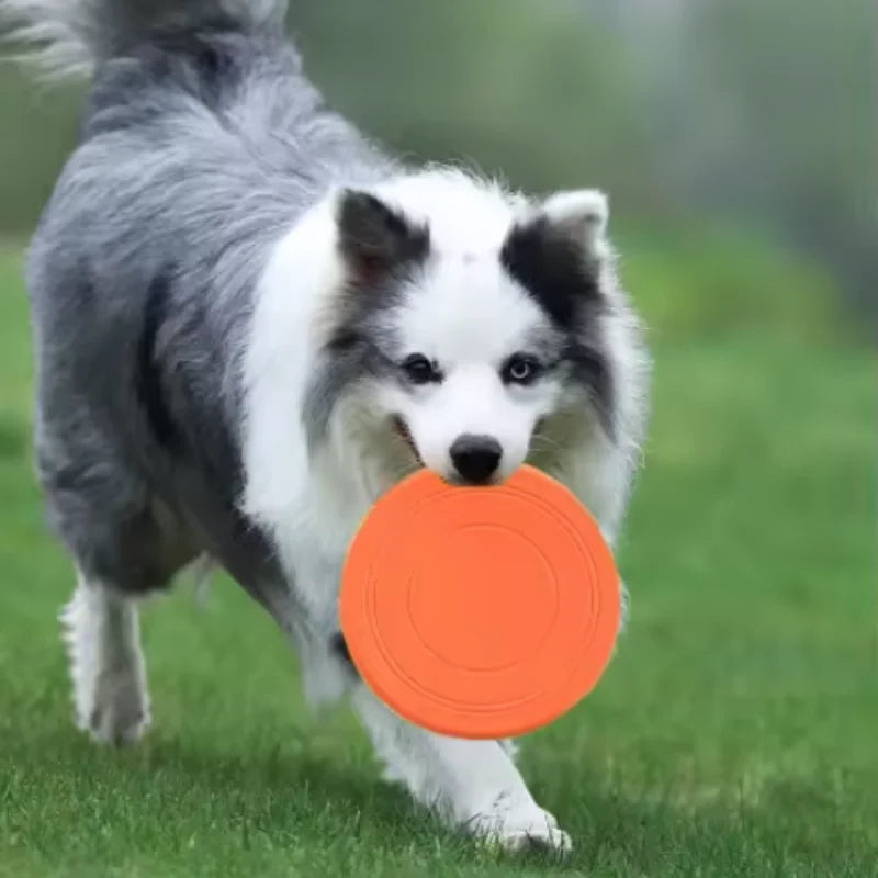 Silicone Flying Toy for Dogs - Durable Interactive Disc