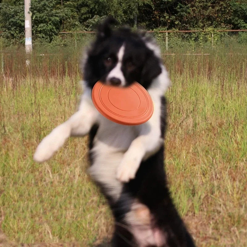 Silicone Flying Toy for Dogs - Durable Interactive Disc