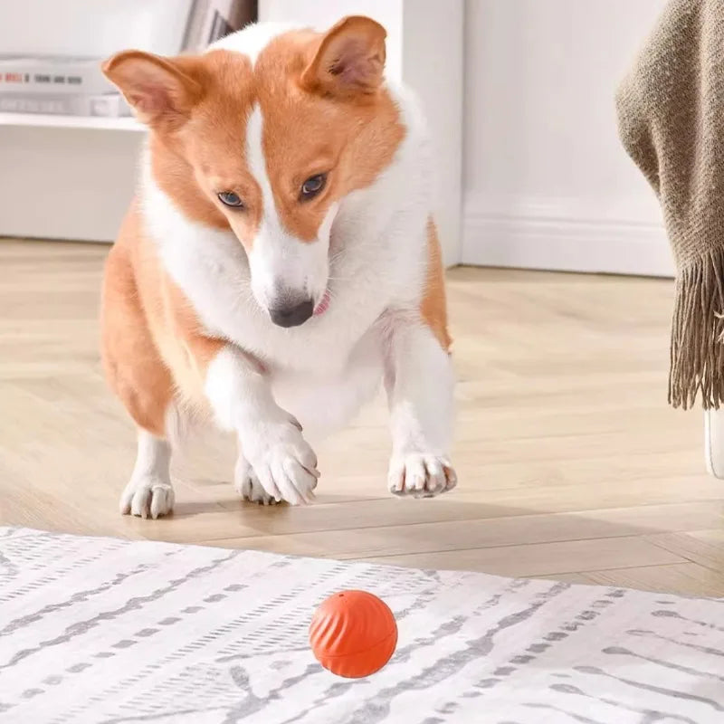 Balle intelligente automatique pour chiens - Jouet interactif avec fonction mouvement USB