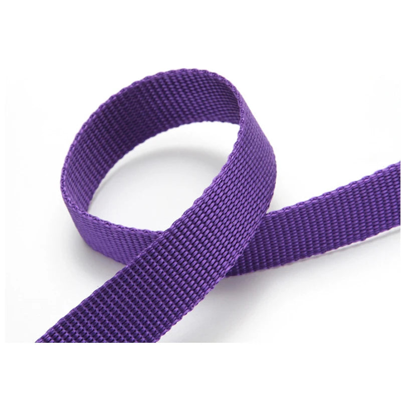 Cinturón Seguridad 2 en 1 Mascotas Coche Nylon