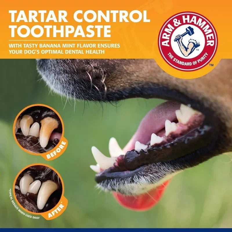 Kit Limpieza Dental Mascotas Cepillo Pasta
