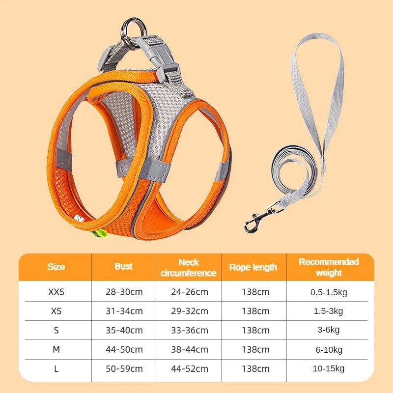Set Arnés Correa Cachorros Ajustable Transpirable