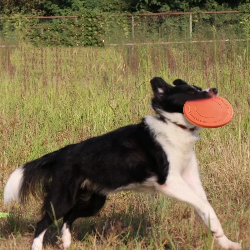 Silicone Flying Toy for Dogs - Durable Interactive Disc