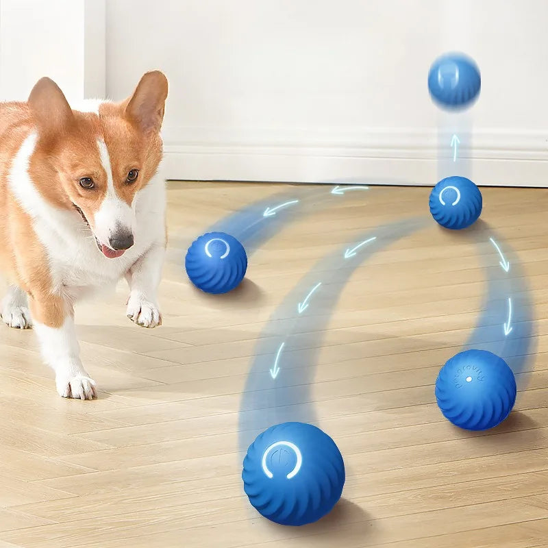 Balle intelligente automatique pour chiens - Jouet interactif avec fonction mouvement USB
