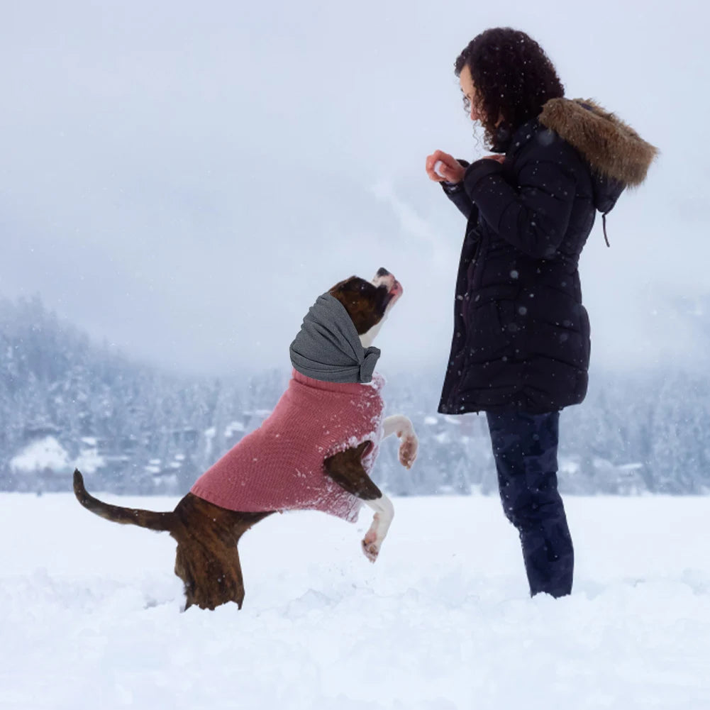 Snood Perros Orejeras Grooming Aislante Ruido