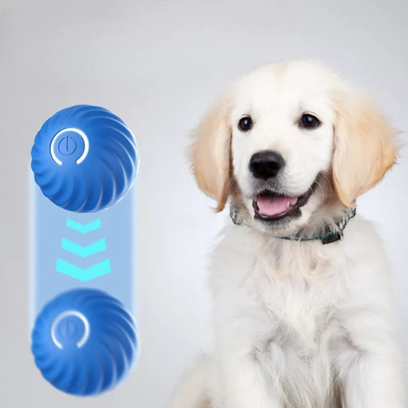 Balle intelligente automatique pour chiens - Jouet interactif avec fonction mouvement USB