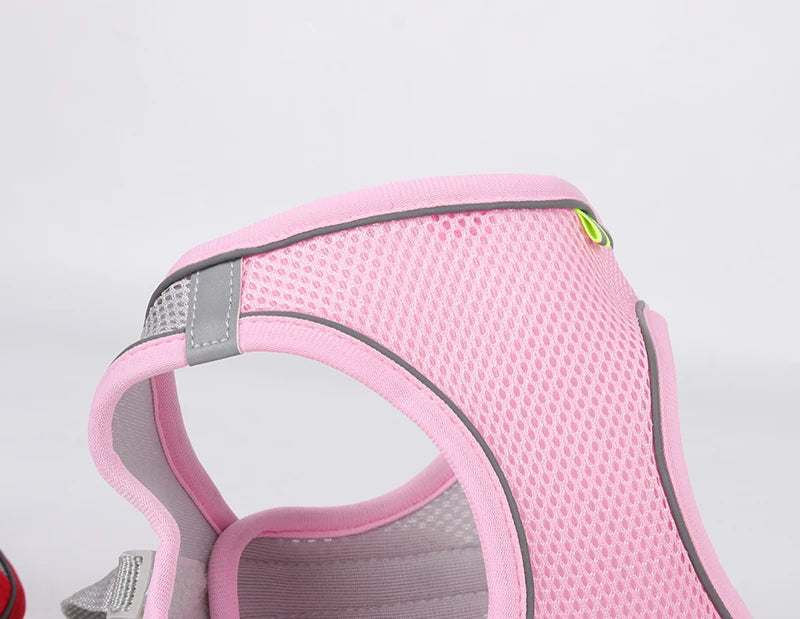 Set Arnés Correa Ajustable Perros Pequeños Gatos