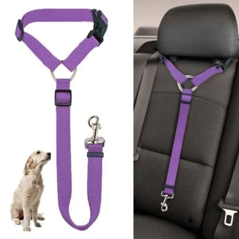 Cinturón Seguridad 2 en 1 Mascotas Coche Nylon