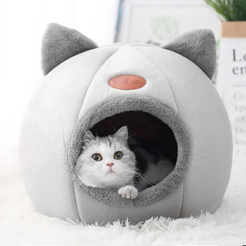 Cat Cave House - Semi-Enclosed Design