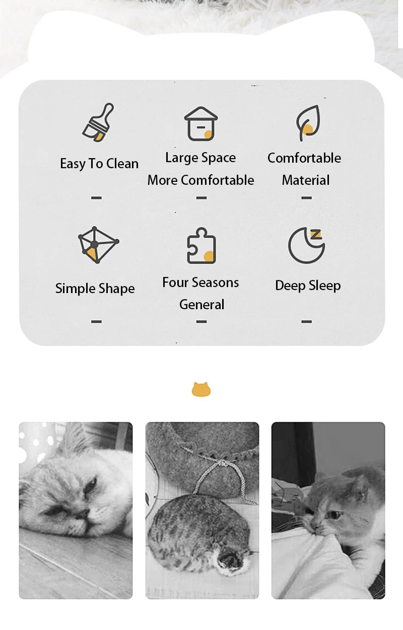 Cat Cave House - Semi-Enclosed Design