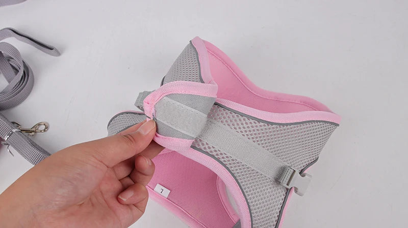 Set Arnés Correa Ajustable Perros Pequeños Gatos