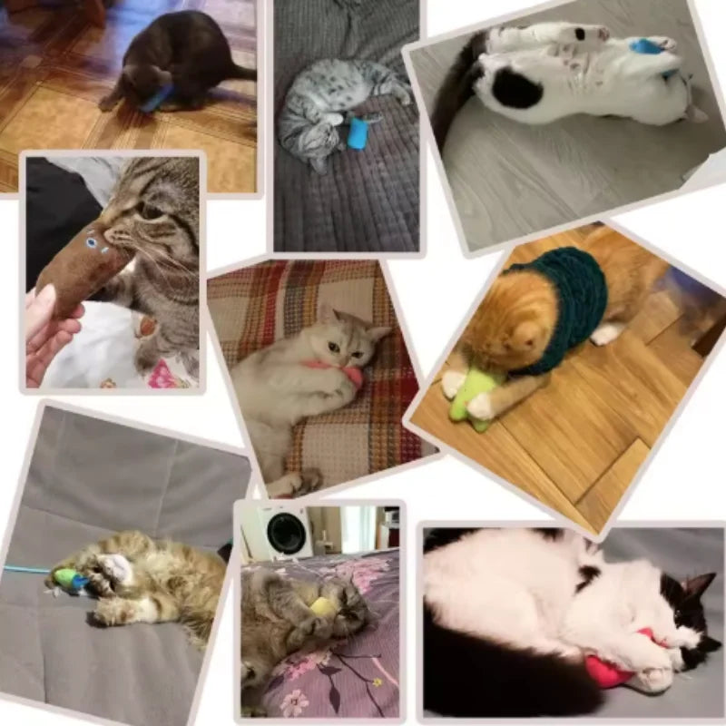 Juguete Peluche Hierba Gatera Interactivo Gatos